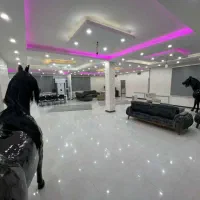 ویلا استخر آبگرم سرپوشیده مهمانی و دور همی|اجارهٔ کوتاه‌مدت ویلا و باغ|تهران, شهرک چیتگر|دیوار