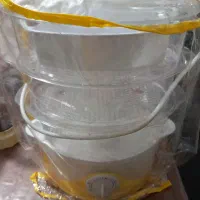 بخار پز