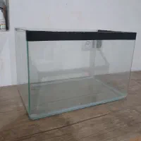 دو عدداکفاریم شیشه خم و بزرگ