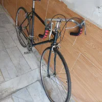 دوچرخه ۲۹کورسی