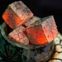 ذغال نارگیل