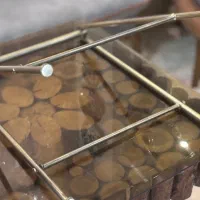 طرف سرو میوه و جا گلدانی|ظروف سرو و پذیرایی|کرج, گلشهر|دیوار