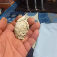 فسیل|کلکسیون اشیاء عتیقه|فیروزآباد (فارس), |دیوار