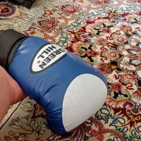 دسکش بوکس