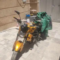 بنلی ۳۰۰