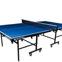 میز پینگ پنگ