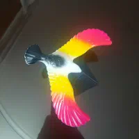 پرنده جادویی