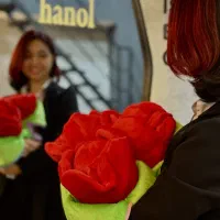 ادمین تولید محتوا هستم|خدمات رایانه‌ای و موبایل|گرگان, |دیوار