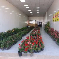 فروش گل و گیاه