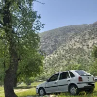فلولکس گل۸۷|خودرو سواری و وانت|شیراز, شهرک قمشه|دیوار