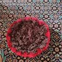 اسکاچ|لوازم نظافت|اردبیل, |دیوار