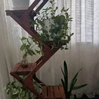 استند گل