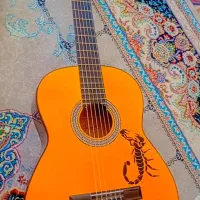 گیتار در حد