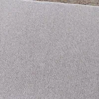 پادری پالاز نو نو