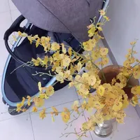 کالکسکه تاشو بدنه فلزی ایون‌فلو|کالسکه و لوازم جانبی|تهران, نارمک|دیوار