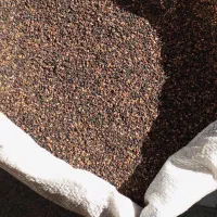 کنجدخام محلی کیلو ۲۳۰|خوردنی و آشامیدنی|نیشابور, مدرس|دیوار