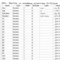 آمار پایان نامه پروپوزال پایتون spss smartpls