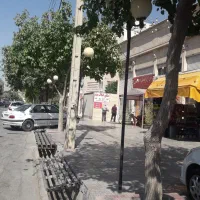 یک واحد تجاری ۵۵ متر بر بلوار سپیده  شهرک والفجر|اجارهٔ مغازه و غرفه|شیراز, شهرک والفجر|دیوار