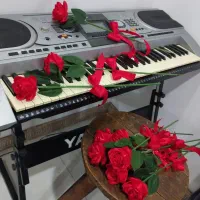 گل رز|گل مصنوعی|خمام, |دیوار