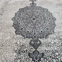 فرش ۱۲ متری ۱۲۰۰ شانه ابریشم|فرش|قم, باغ کرباسی|دیوار