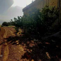 زمین فروشی|اجارهٔ خانه و ویلا|خانمیرزا, |دیوار
