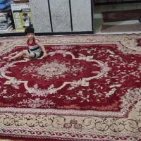 فرش 12متری|فرش|بندر کنگان, |دیوار