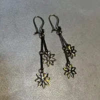 گوشوارع آویز