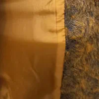 پالتو زمستانه خز|لباس|شاهینشهر, اقبال لاهوری|دیوار