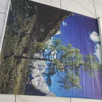 پرده|پرده، رانر، رومیزی|اردبیل, |دیوار