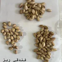 اجاره و کارشناسی زمین پسته توافقی
