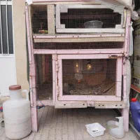 قفس آهنی بزرگ دوطبقه مناسب مرغ و بلدرچین