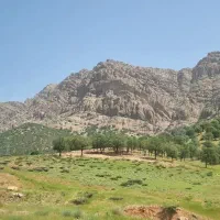 اجاره و یا فروش یک هکتار زمین کشاورزی