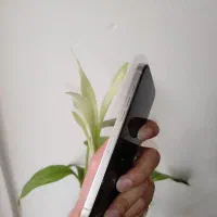 16 پرومکس ۲۵۶ Zaa باطری ۹۸|موبایل|گرگان, |دیوار