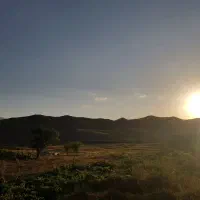 نیرو نظافتی خانوم