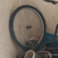 دوچرخه|دوچرخه، اسکیت، اسکوتر|شیراز, اصلاح‌نژاد|دیوار