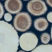 استخدام نیروی کار جهت کار در کارگاه چوب