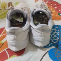 کفش|کیف، کفش، کمربند|تهران, امانیه|دیوار