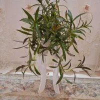 گل طبیعی|گل مصنوعی|نورآباد, |دیوار