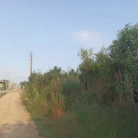 فروش-باغ