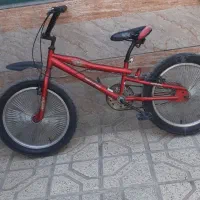 دوچرخه حرفه ای