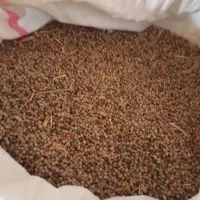 گاینه|حراج|باوله, |دیوار