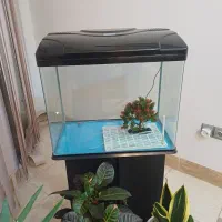 اکواریوم تمیز و سالم