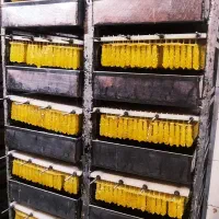 نبات چوبی|خوردنی و آشامیدنی|اصفهان, سرتاوه|دیوار