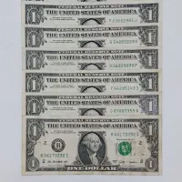 یک دلاری اصل (کلکسیونی ومناسب برای دسته گل لاکچری)