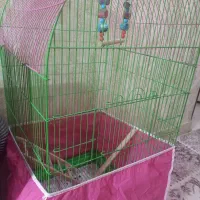 قفس پرنده|لوازم جانبی حیوانات|رباطکریم, رباطکریم|دیوار