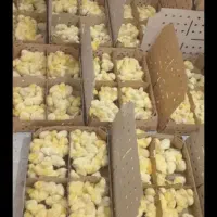 جوجه آرین گوشتی