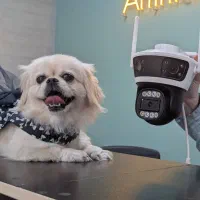 دوربین کرکره جک دزدگیر|دوربین مداربسته|رشت, بازار|دیوار