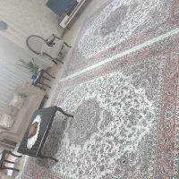 فروش فوری دو تخته فرش ۹متری|فرش|رشت, لاکانی|دیوار