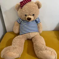 دوعدد عروسک خرس