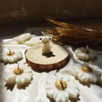 هدیه روز دانش اموز|صنایع دستی و سایر لوازم تزئینی|تربت جام, معدآباد|دیوار